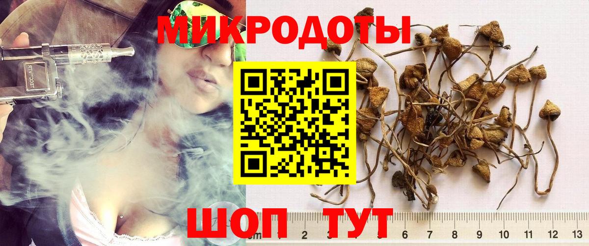Галлюциногенные грибы Psilocybe  Вход с VPN  Лесозаводск 