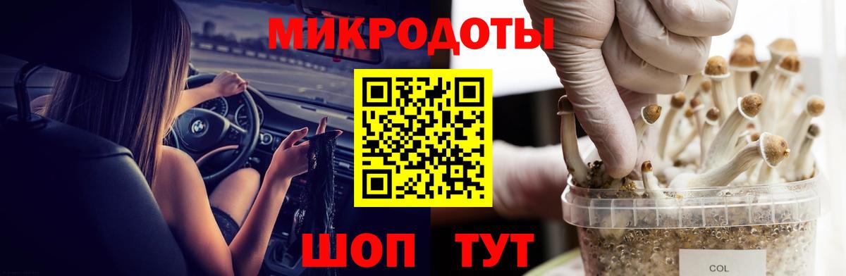 Галлюциногенные грибы мухоморы Лесозаводск